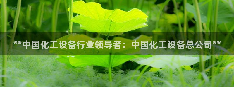 新航娱乐注册平台