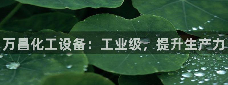 新航娱乐的创始人简介图片