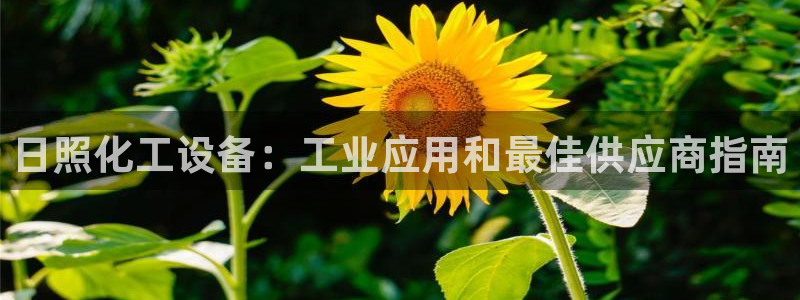 新航娱乐扣款后还能重新扣吗