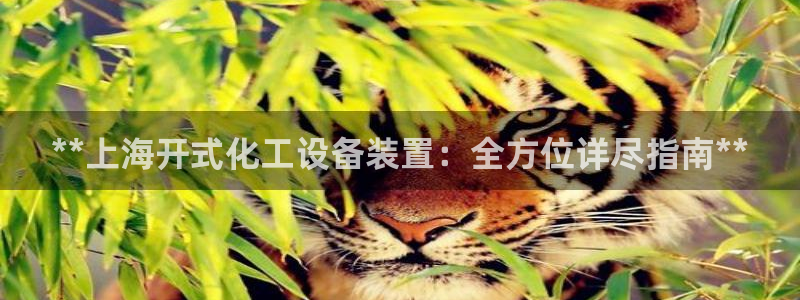 新航娱乐扣款