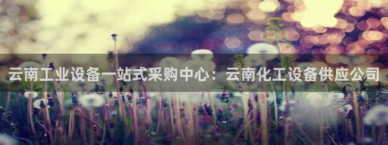 新航娱乐的创始人是谁啊