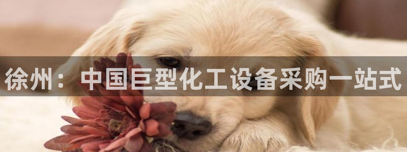 新航娱乐平台登录蒋渭水