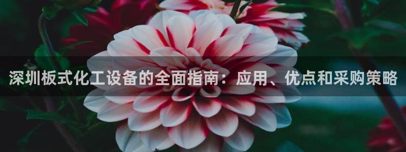 新航娱乐公司旗下艺人都有谁