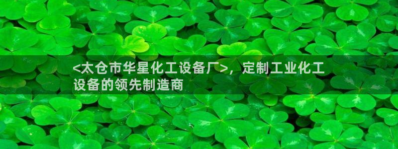 新航娱乐公司简介和历史背景分析