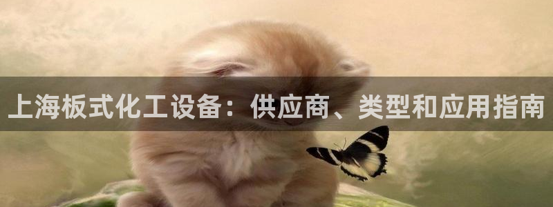 新航娱乐公司扣费流程详解表最新