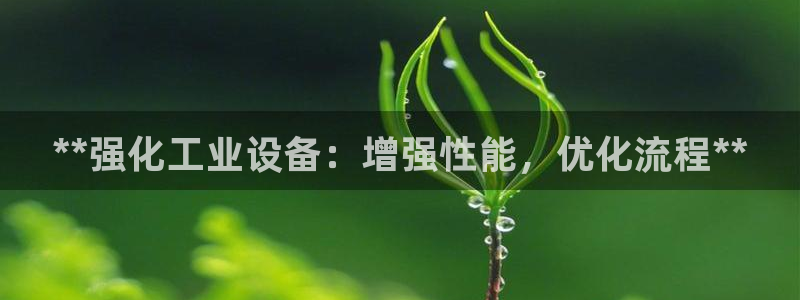 新航娱乐的创始人简介资料