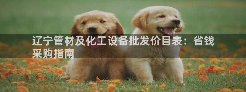 新航娱乐招商率合作 485624 怎么样