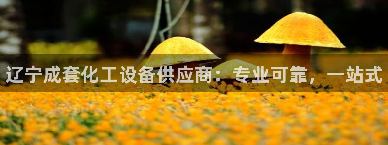 新航娱乐app最新版本更新内容是什么