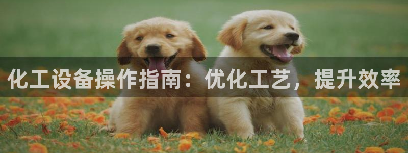 新航娱乐探索无限撼底空间