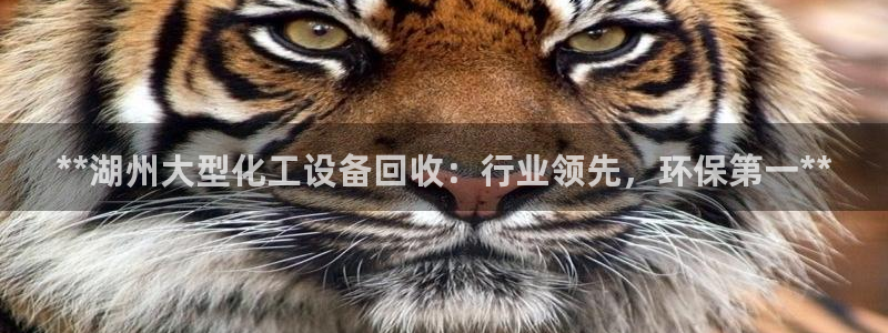 新航娱乐app手机版官网下载安装