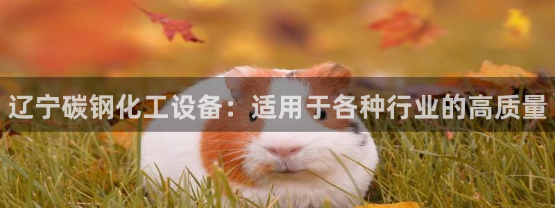 新航娱乐挂机.直开.中国(官方下载)