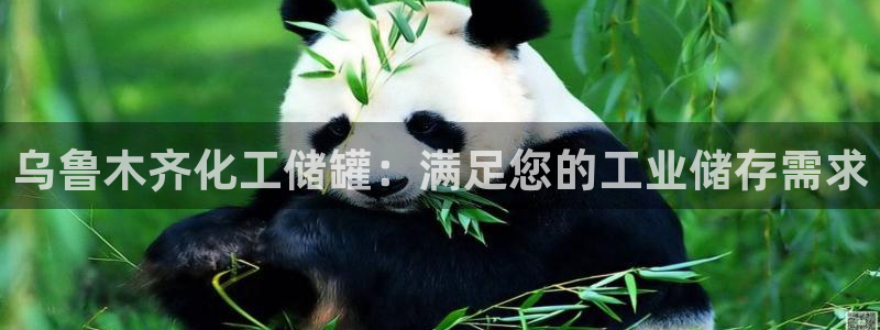 新航娱乐app最新版本更新内容是什么样的