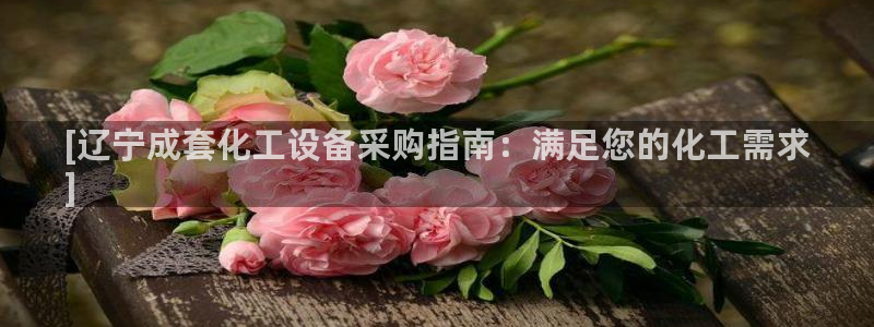 新航娱乐的创始人是谁啊