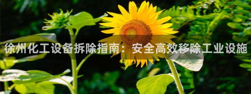 新航娱乐扣款怎么退款申请