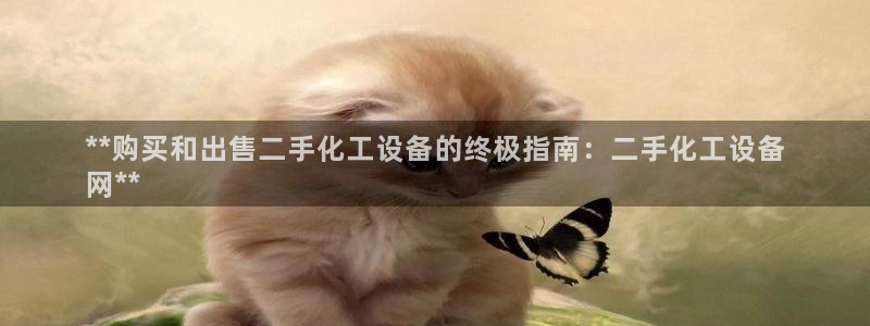 新航娱乐的会员权益与保障是什么