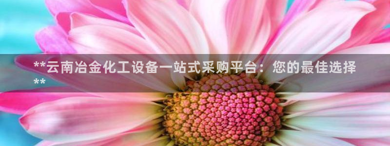 新航娱乐公司简介和历史背景分析