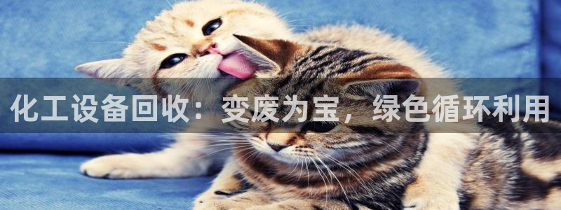 新航娱乐公司旗下艺人都有谁