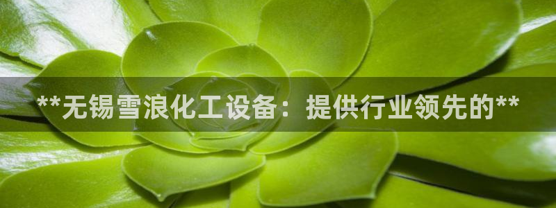新航娱乐官网下载