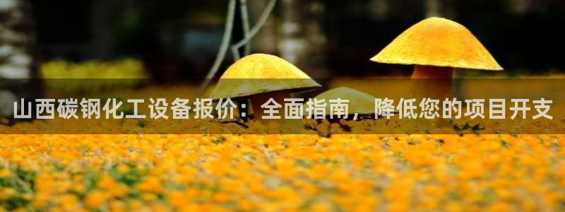 新航娱乐背后的老板