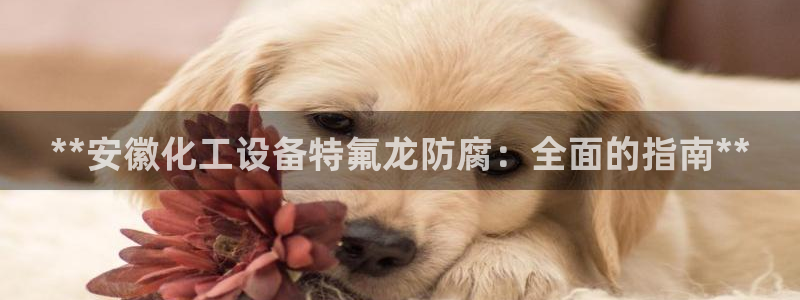 新航娱乐app的最新版本更新内容在哪里