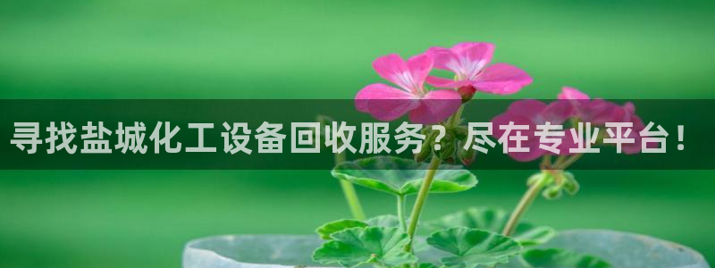 新航娱乐的会员权益与保障在哪