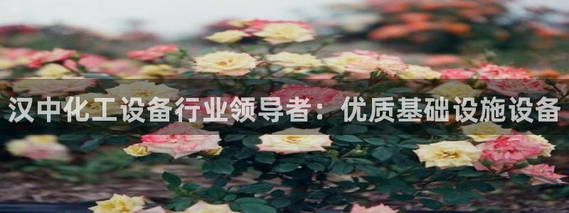 新航娱乐的员工工资福利及待遇如何