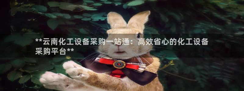 新航娱乐APP的最新版本更新内容