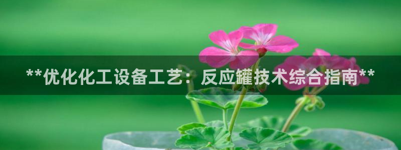 新航娱乐app的最新版本更新内容