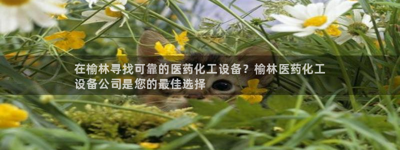 新航娱乐公司扣费流程详解视频