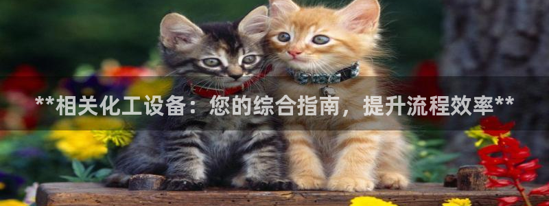 新航娱乐最新招聘信息