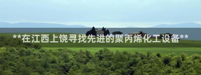 新航娱乐平台用户评价及反馈