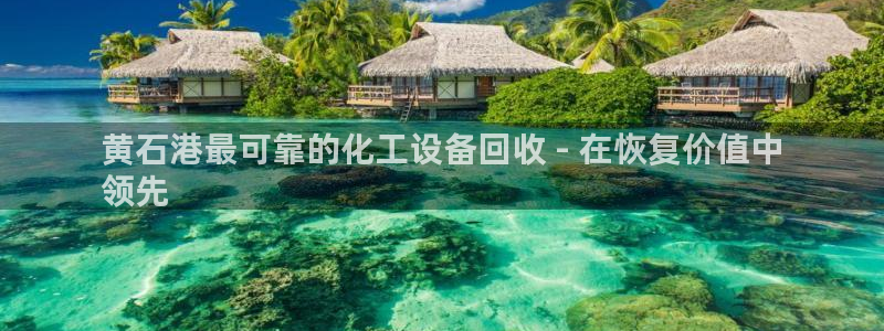 新航娱乐的创始人简介