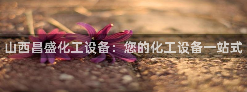 新航娱乐公司简介和历史背景