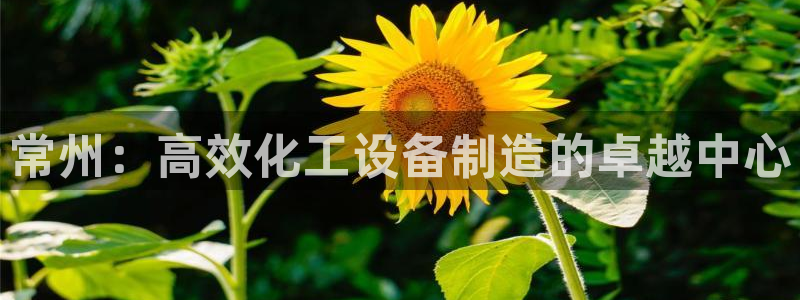 新航娱乐的创始人是谁呀