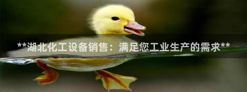 新航娱乐公司简介和历史背景怎么写