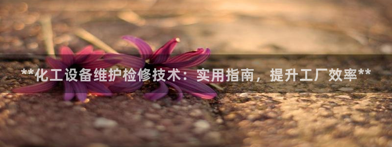 新航娱乐的创始人是谁啊