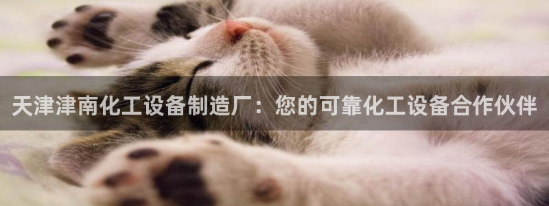 新航娱乐总代理是谁