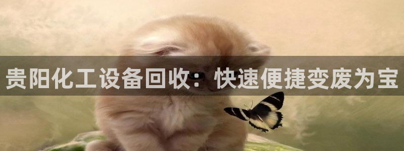 新航娱乐扣款怎么退款