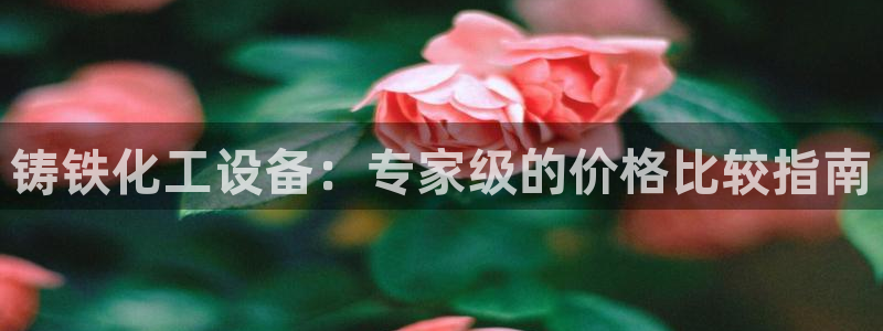新航娱乐公司扣费流程详解视频下载