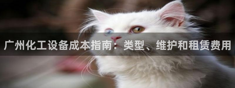 新航娱乐公司旗下艺人有哪些