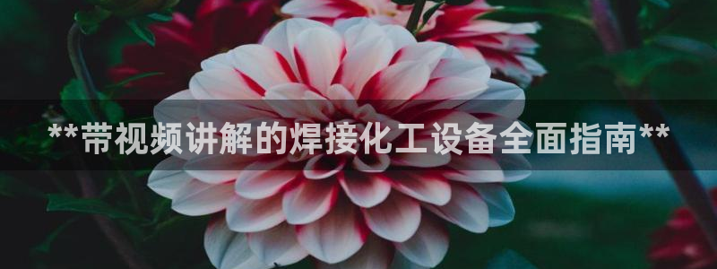 新航娱乐的创始人背景是什么