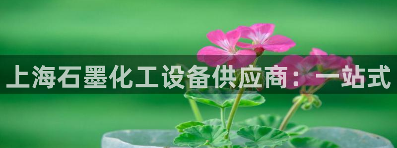 新航娱乐元哥