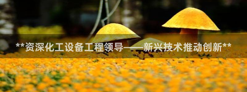 新航娱乐的员工工资福利及待遇