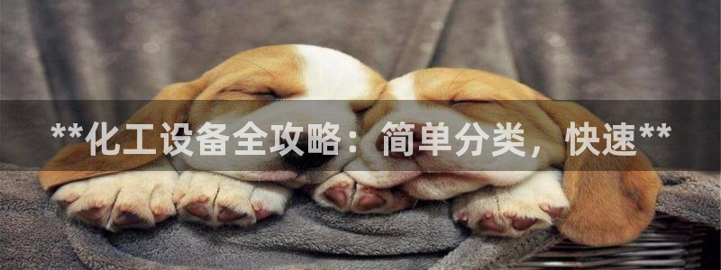 新航娱乐背后的老板