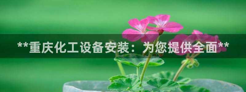 新航娱乐最新消息