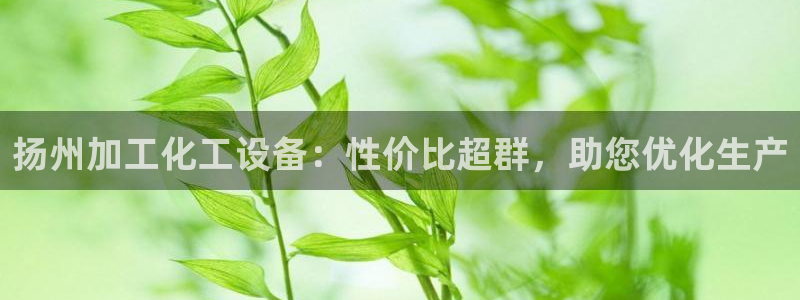 新航娱乐公司简介和历史背景介绍