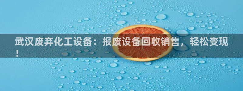 新航娱乐集团最新消息今天