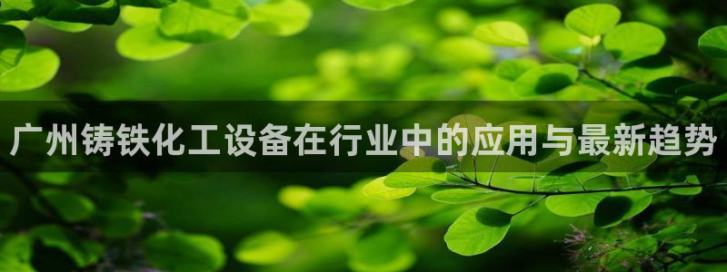 新航娱乐的背景和历史背景分析