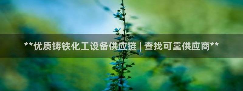 新航娱乐入网要求