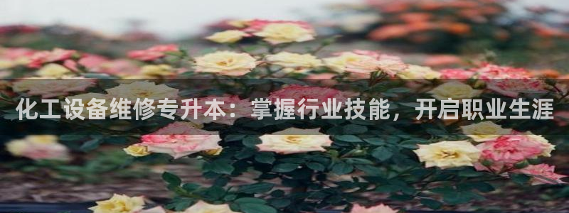 新航娱乐账号注册和账号详情